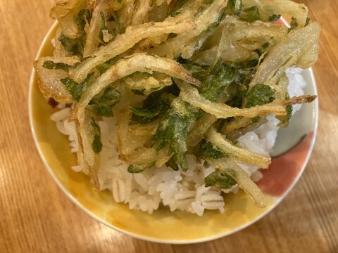 たまねぎとしらすとセロリのかき揚げ丼